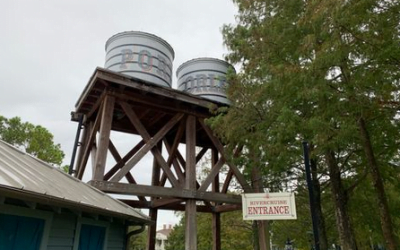 A Pictorial Tour of Port Orleans Riverside