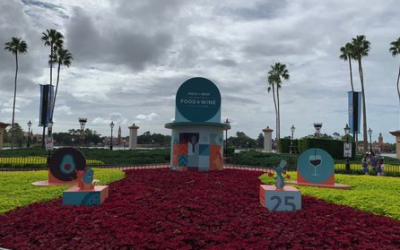 Impressions of Disney World During Pandemic – Day Five