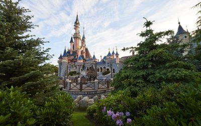 Discovering Beauty:  The origin story of a theme park obsession