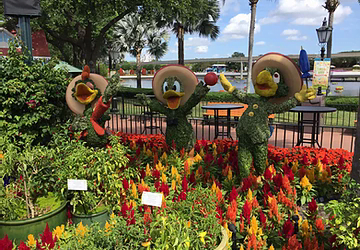 Flying, French Toast, Frozen and Flowers at Epcot