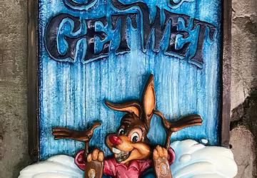 You May Get Wet—and Not Just on Splash Mountain!