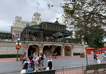 Impressions of Disney World During Pandemic – Day Four