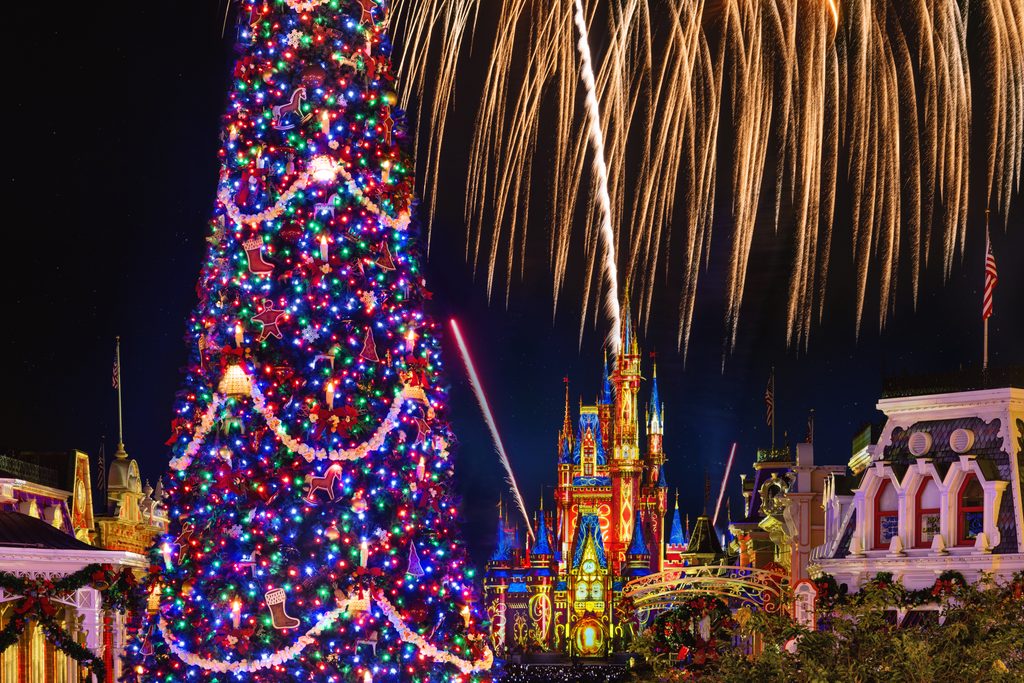 magic kingdom castle at christmas